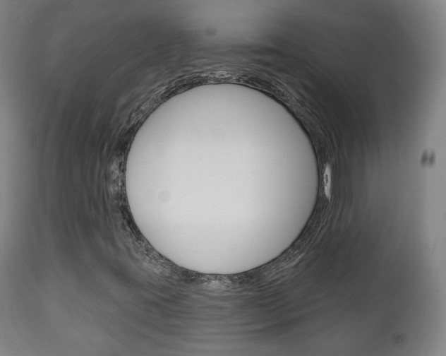 X0000110861395200906180934