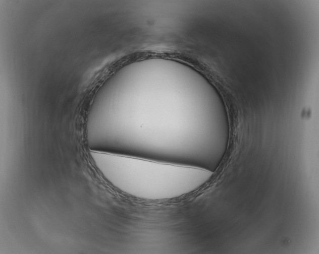 X0000110861398200906180934