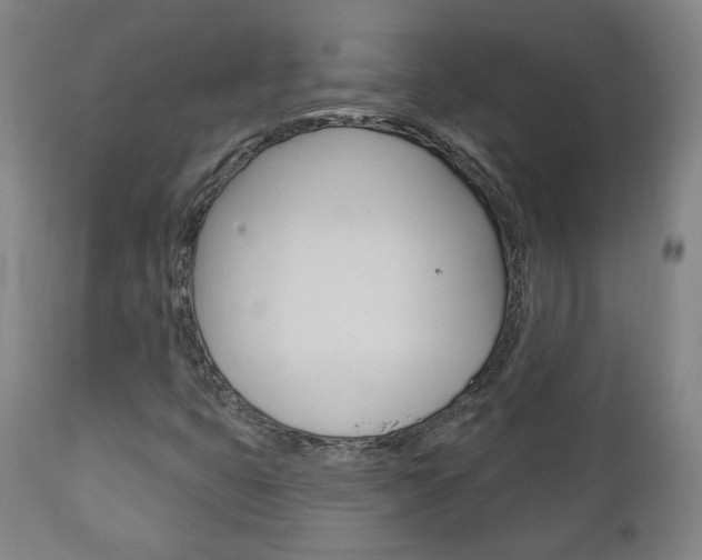 X0000110861399200906180934