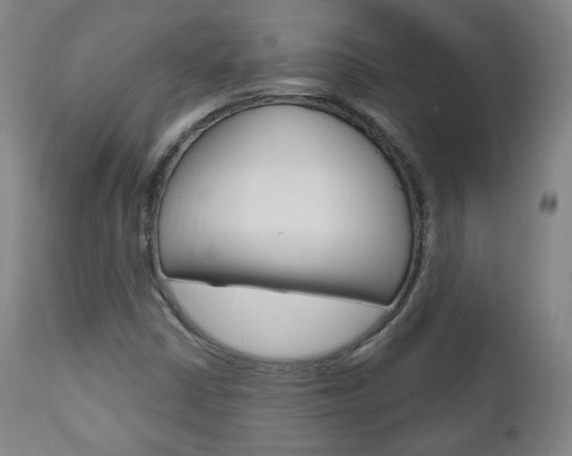 X0000110861402200906180934