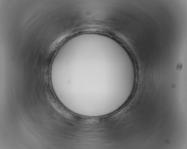X0000110861403200906180934
