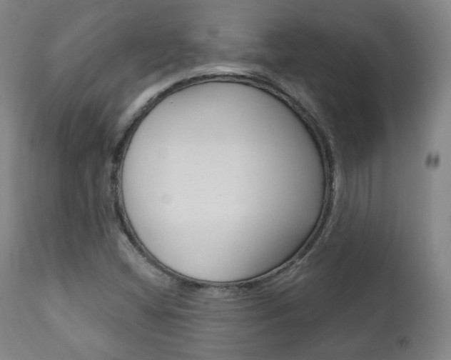 X0000110861404200906180934