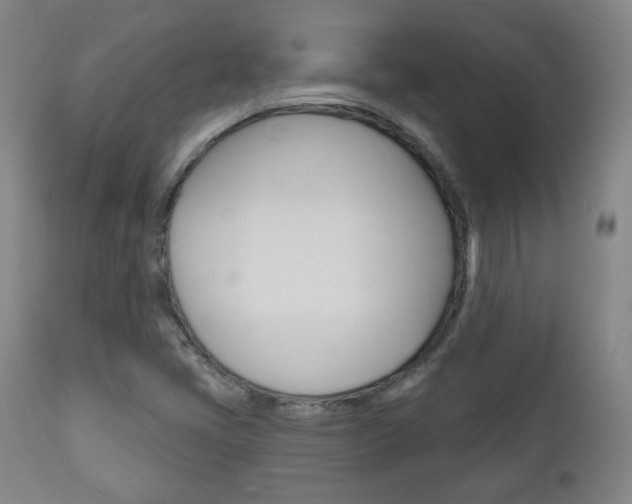 X0000110861405200906180934