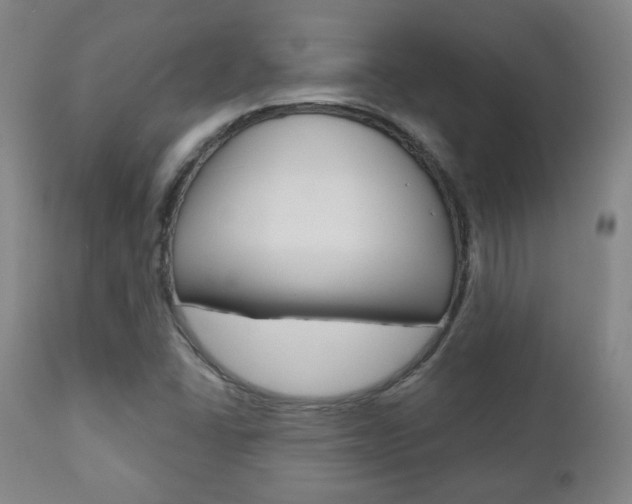 X0000110861406200906180934