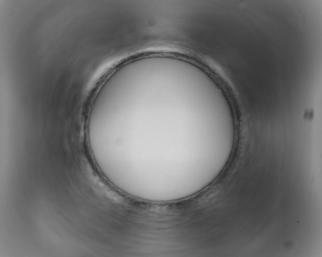 X0000110861408200906180934