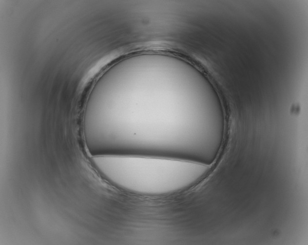 X0000110861410200906180934