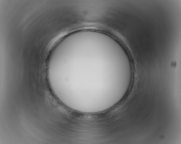 X0000110861411200906180934