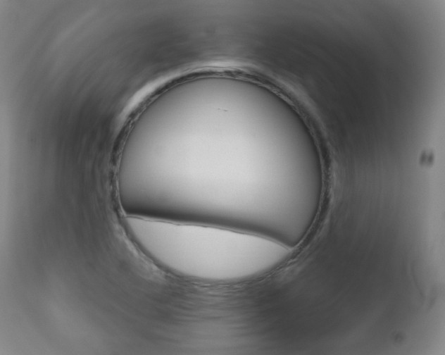 X0000110861412200906180934