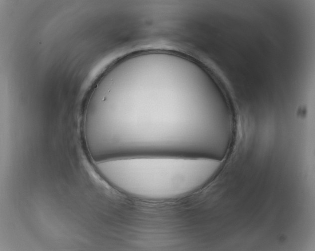 X0000110861416200906180934
