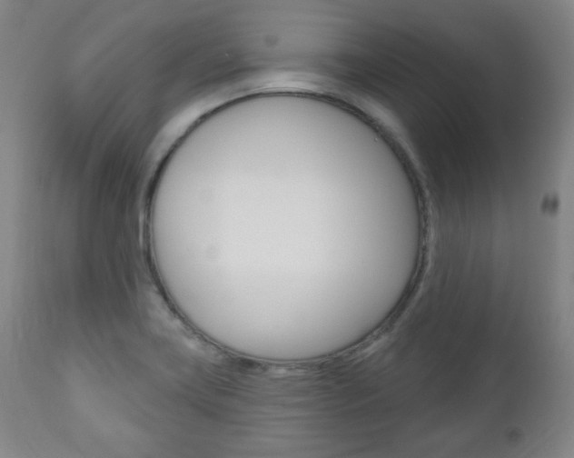 X0000110861419200906180934