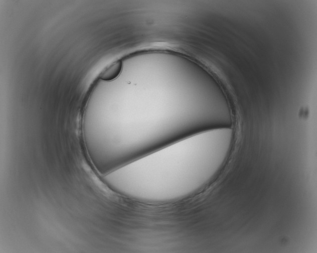 X0000110861420200906180934