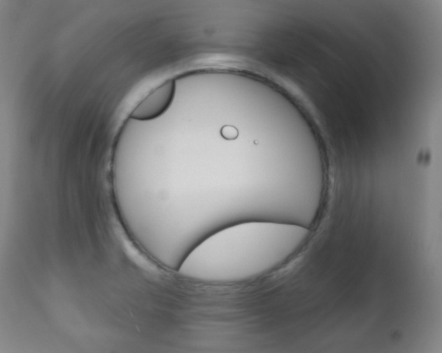 X0000110861421200906180934