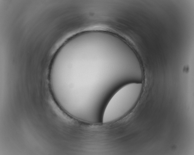 X0000110861422200906180934