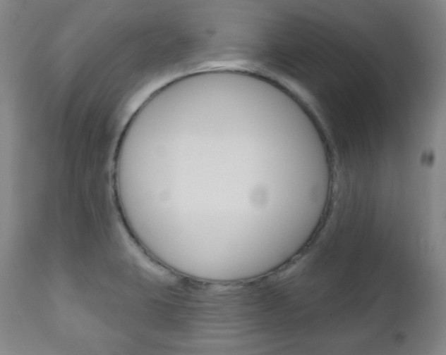 X0000110861423200906180934