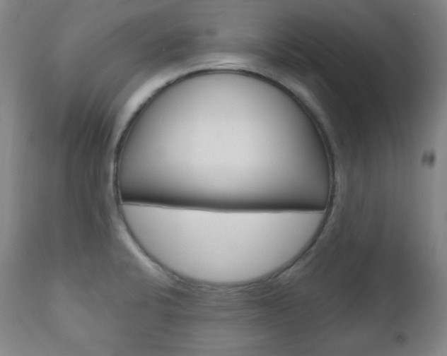 X0000110861424200906180934