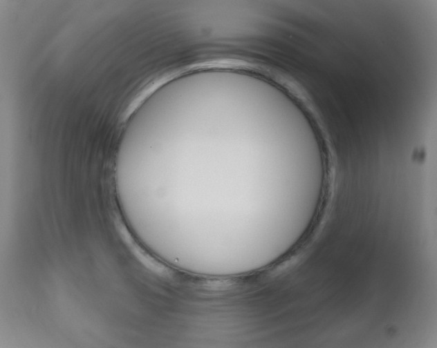 X0000110861425200906180934