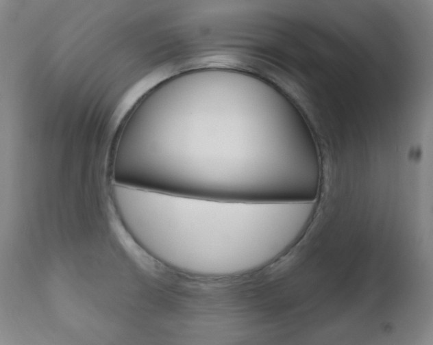 X0000110861426200906180934