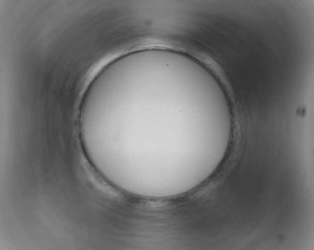X0000110861427200906180934