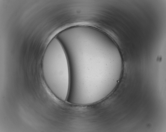 X0000110861428200906180934