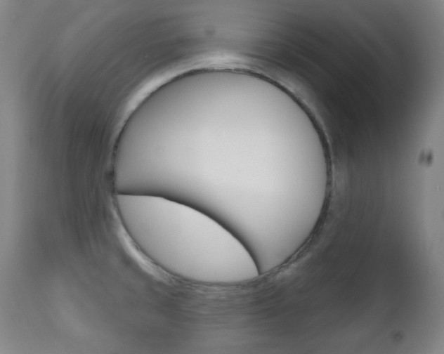 X0000110861429200906180934