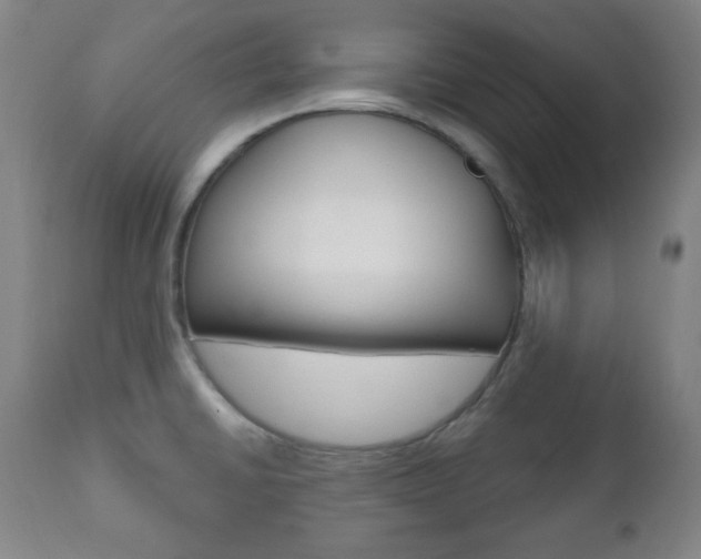 X0000110861430200906180934