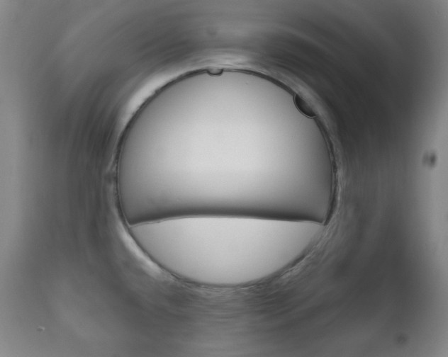 X0000110861432200906180934