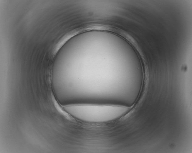 X0000110861433200906180934