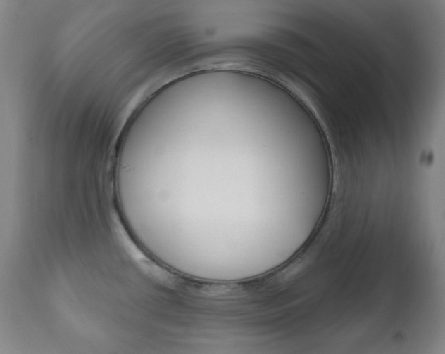 X0000110861434200906180934
