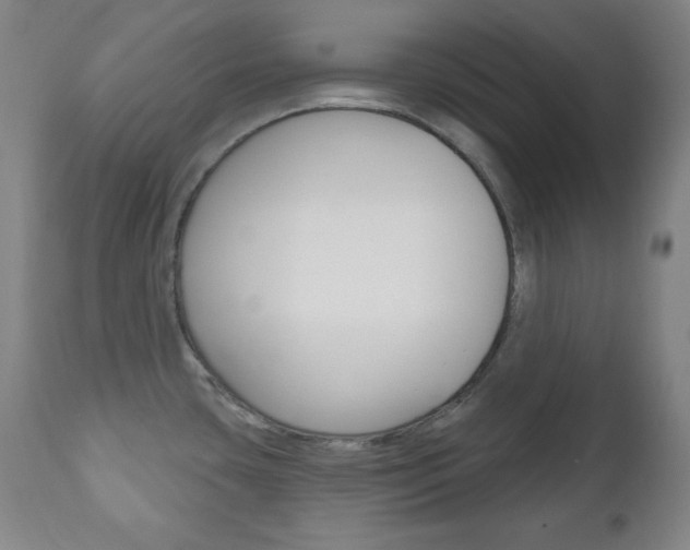 X0000110861435200906180934