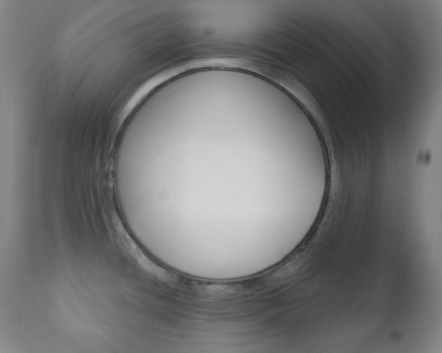 X0000110861436200906180934
