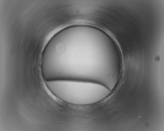 X0000110861437200906180934