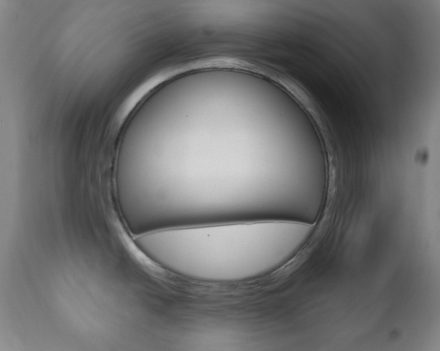 X0000110861438200906180934