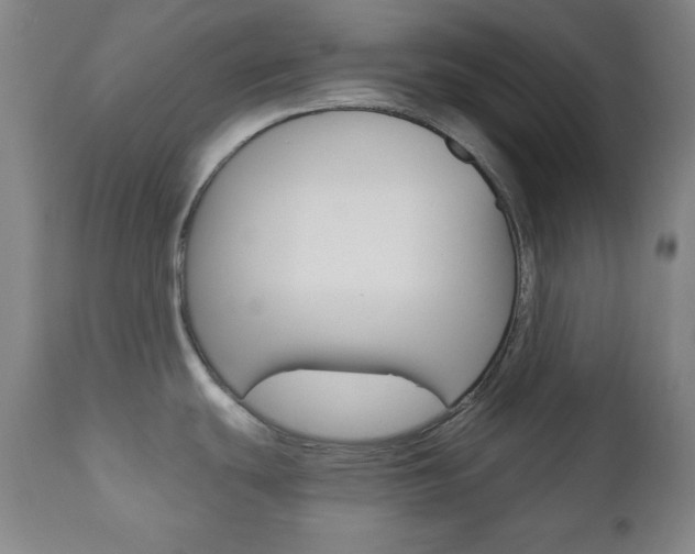 X0000110861439200906180934