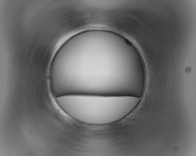 X0000110861440200906180934