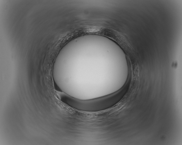 X0000110861441200906180934