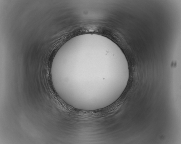 X0000110861442200906180934