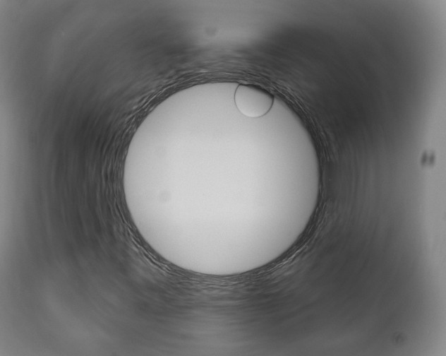 X0000110861443200906180934