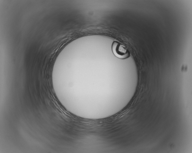 X0000110861444200906180934