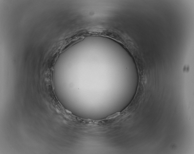 X0000110861445200906180934