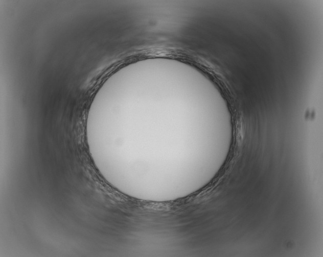 X0000110861446200906180934