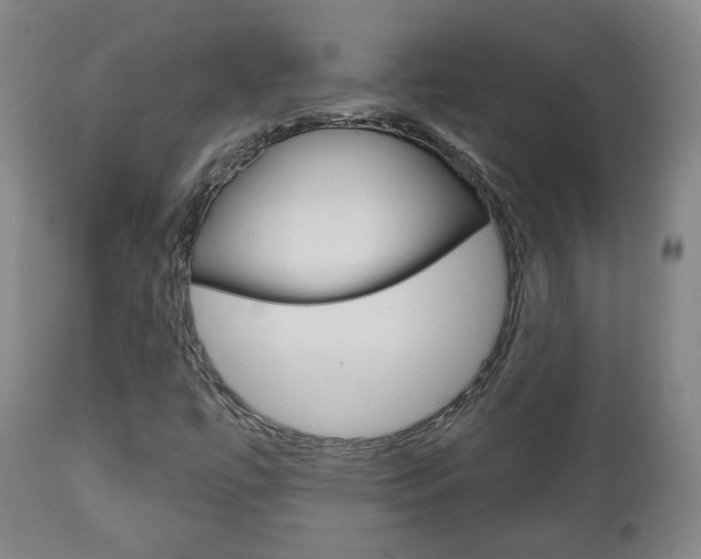 X0000110861447200906180934
