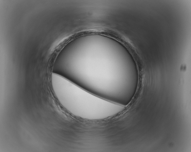 X0000110861448200906180934