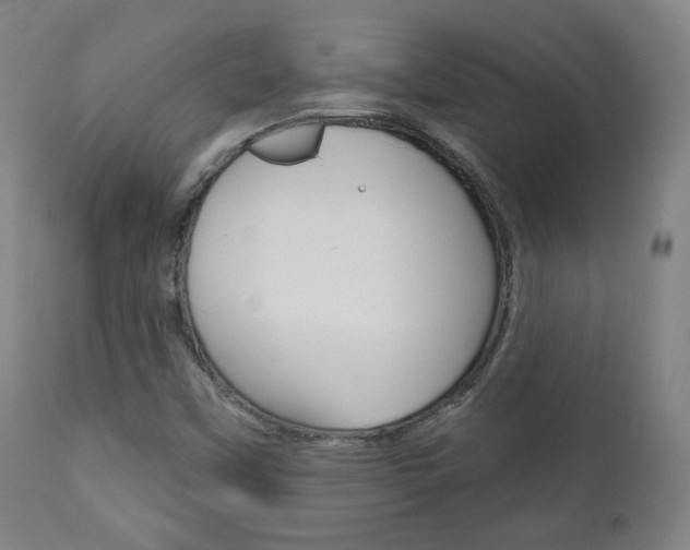 X0000110861451200906180934