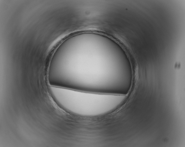 X0000110861452200906180934