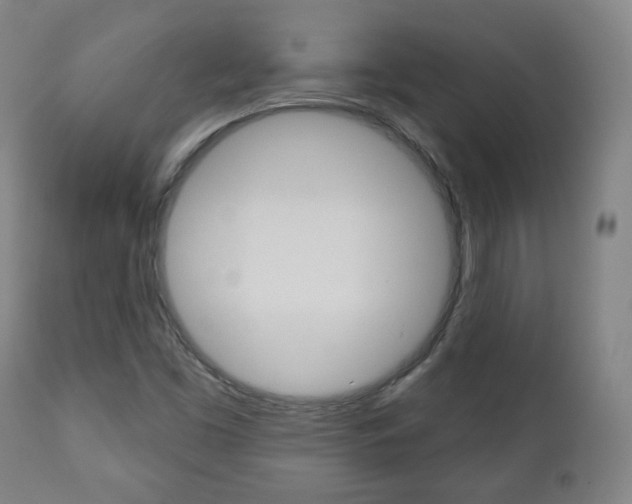 X0000110861453200906180934
