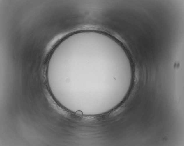 X0000110861454200906180934