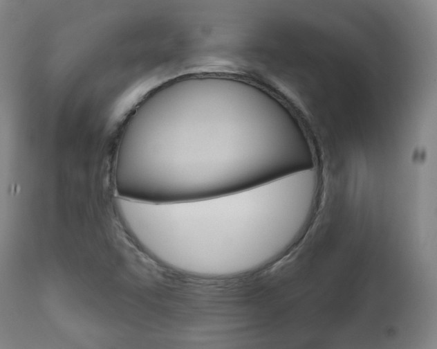 X0000110861455200906180934