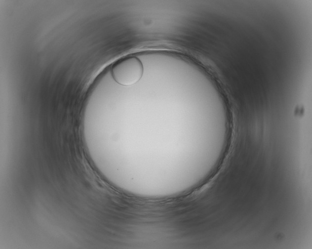 X0000110861457200906180934