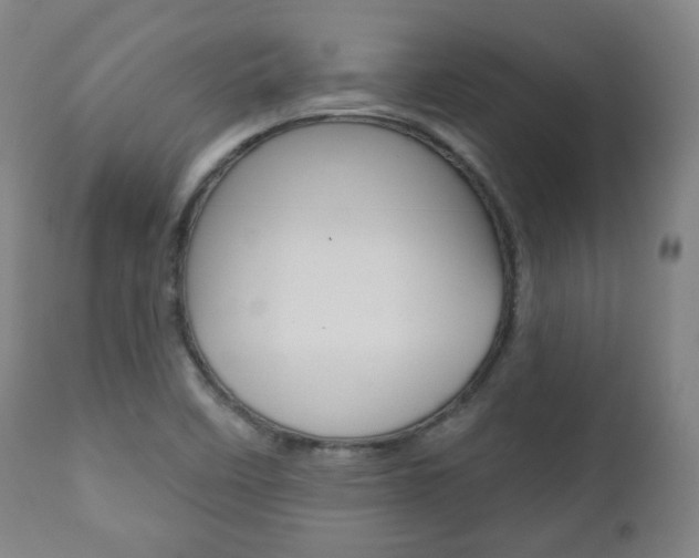 X0000110861458200906180934