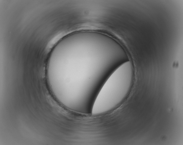 X0000110861459200906180934